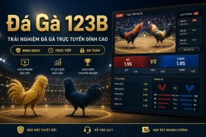 Đá Gà 123B với giao diện kèo live trực tiếp tại nhà cái 123B